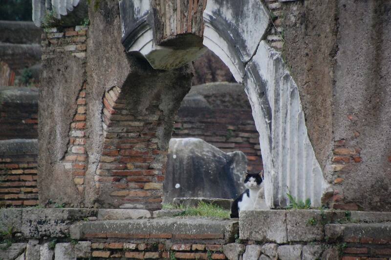 Particolare del Foro della Statua Eroica