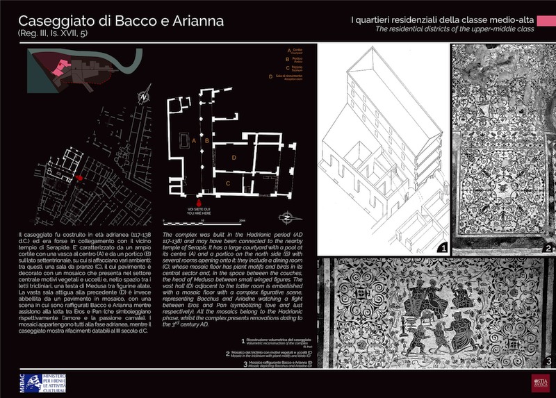 Pannello 70 - Caseggiato di Bacco e Arianna