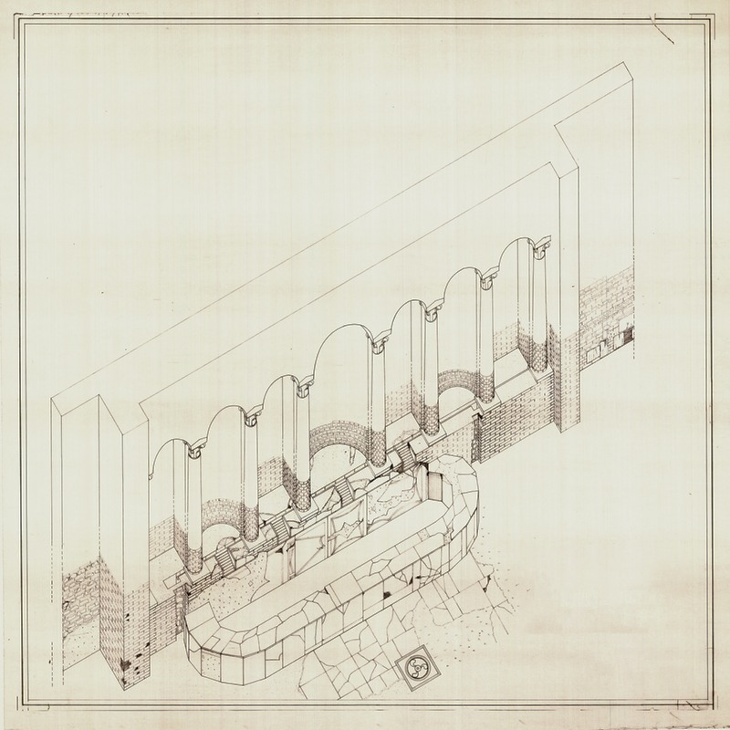 Panel 81b - Figure 1