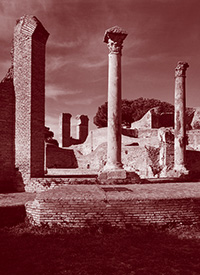 Floor and columns of the cold room of the Baths of the Forum, 2nd-5th century